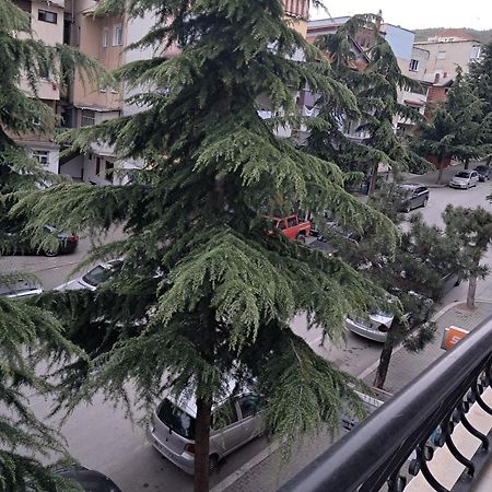 New Apartament Πόγραδετς Εξωτερικό φωτογραφία