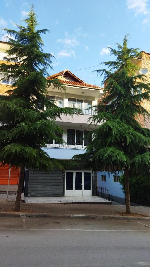 New Apartament Πόγραδετς Εξωτερικό φωτογραφία